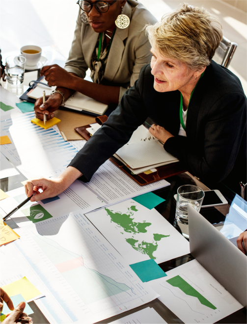 Government Officials & Policy Planners